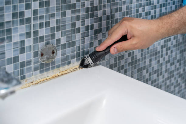 Best Professional Mold Removal  in Takoma Park, MD