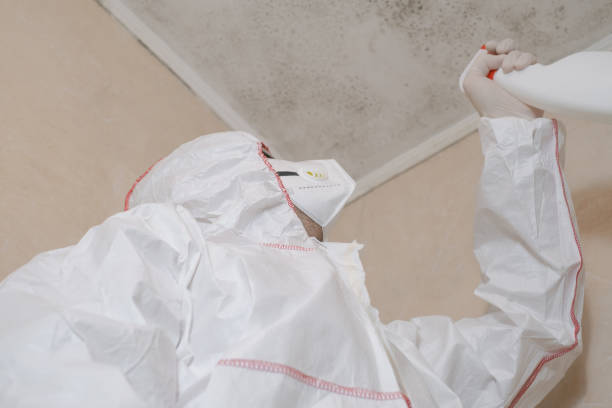 Mold Testing and Removal in Takoma Park, MD